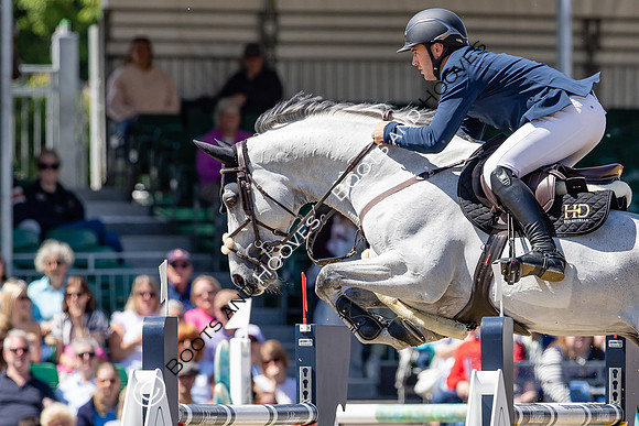 Royal Windsor Horse Show