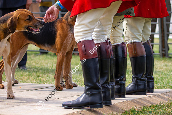 Festival of Hunting