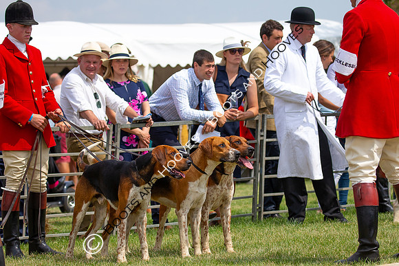 Festival of Hunting
