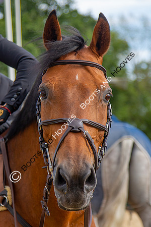 Science Supplements All England Jumping Championships