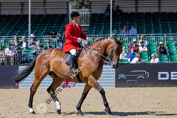 Royal Windsor Horse Show