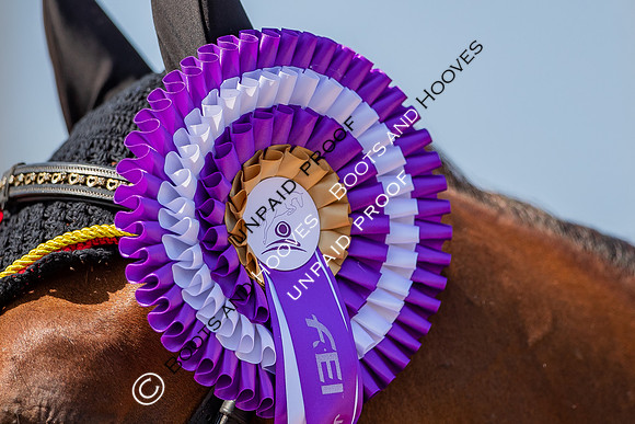 FEI Junior European Championship Young Riders, Juniors & Childre