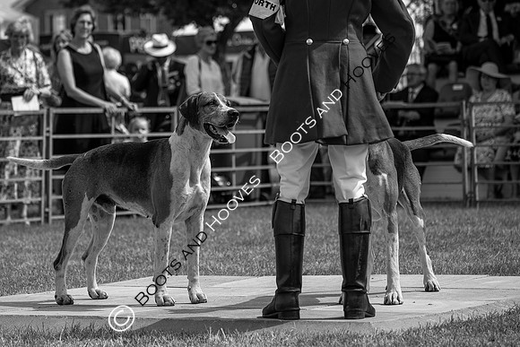 Festival of Hunting