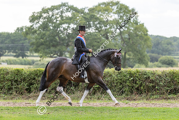 The Royal International Horse Show