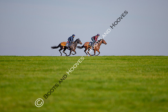 Newmarket