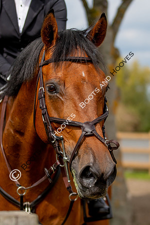 Science Supplements All England Jumping Championships