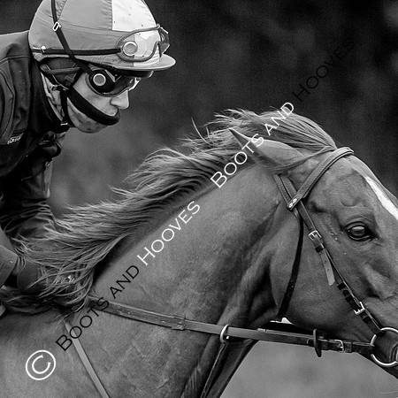 Newmarket