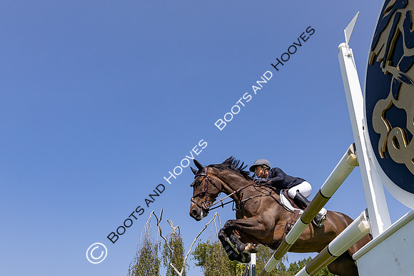 The Al Shira'aa Hickstead Derby Meeting