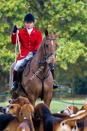 The Essex with the Farmers and Union Hunt. Opening Meet.~ MANDATORY Credit Elli Birch/Bootsandhooves - NO UNAUTHORISED USE - 07745 909676
