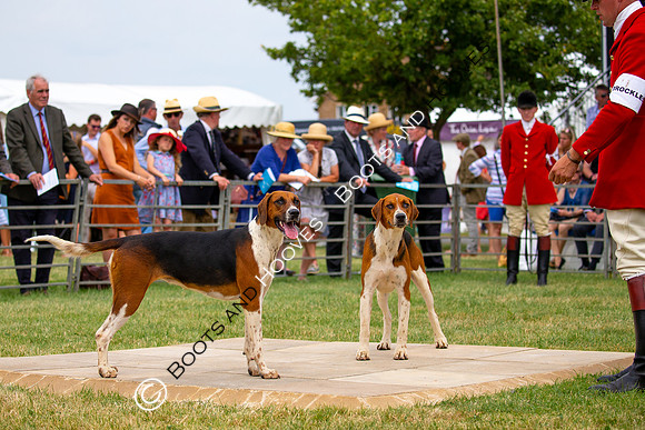 Festival of Hunting