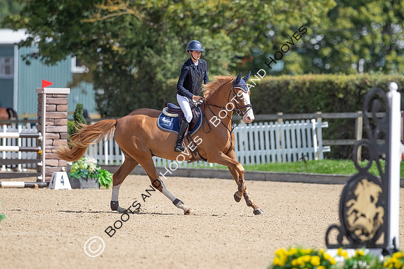 British Young Horse Championships Hickstead 2024