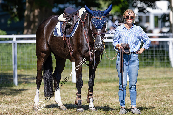 Royal Windsor Horse Show