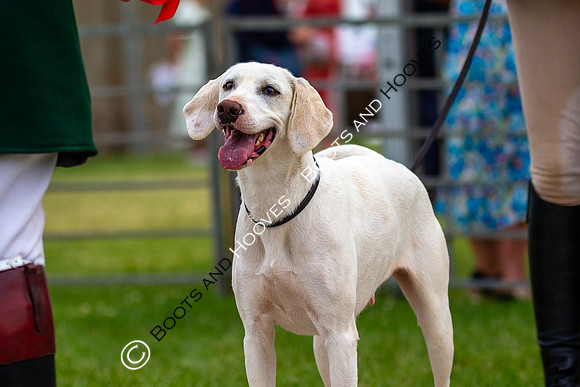 Festival of Hunting