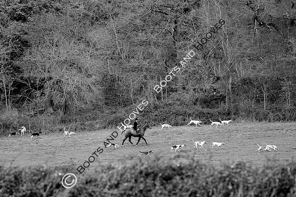 The Ledbury Hunt