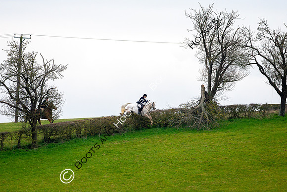 The Ledbury Hunt