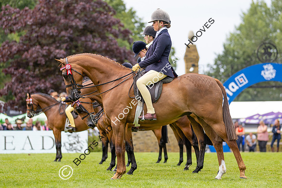The Agria Royal International Horse Show