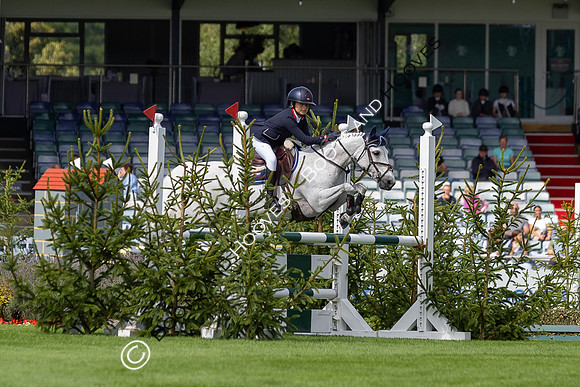 The Agria Royal International Horse Show
