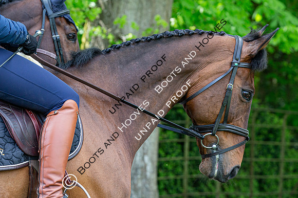 Badminton Horse Trials