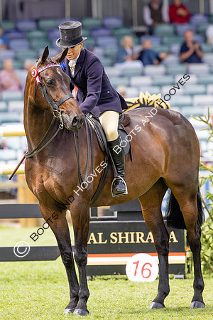 The Agria Royal International Horse Show