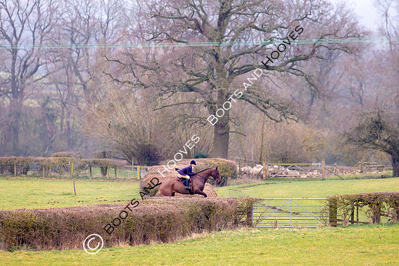 The Ledbury Hunt