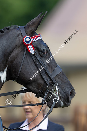 Royal Windsor Horse Show
