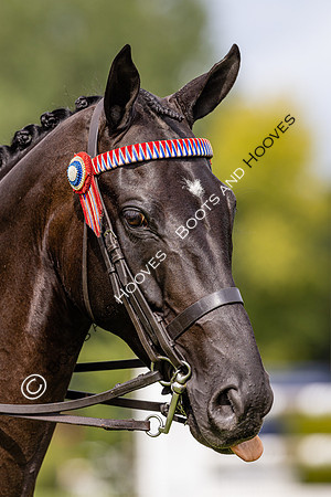The Agria Royal International Horse Show