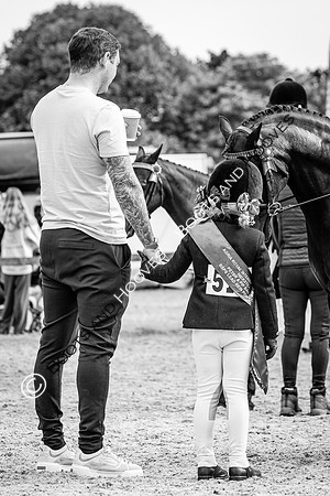 The Agria Royal International Horse Show