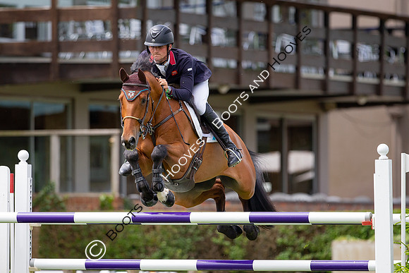 Showjumping