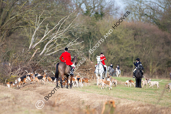 East Essex Hunt. Ladies Day. 29/01/2019 ~ MANDATORY Credit Elli Birch/Bootsandhooves - NO UNAUTHORISED USE - 07745 909676