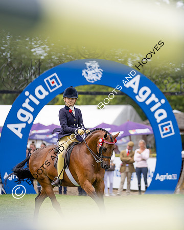 The Agria Royal International Horse Show