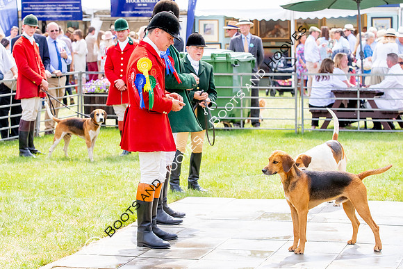 Festival of Hunting