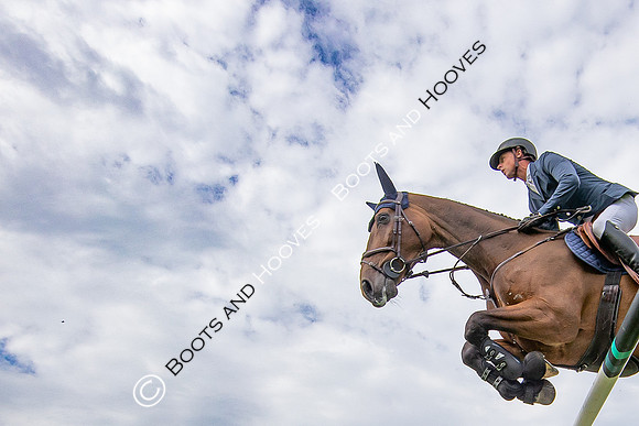 The Agria Royal International Horse Show