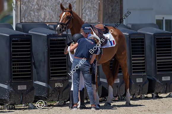 FEI Junior European Championship Young Riders, Juniors & Childre