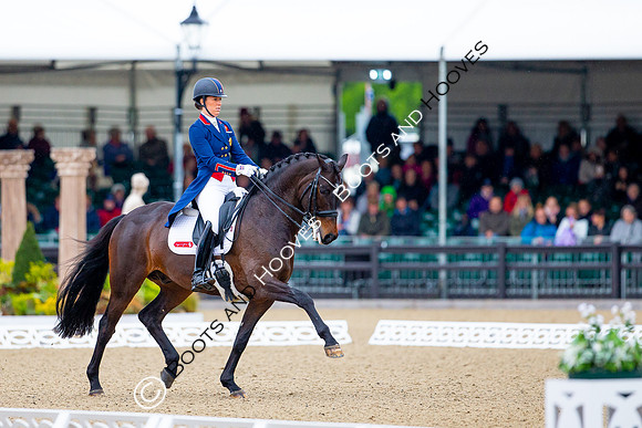 Royal Windsor Horse Show