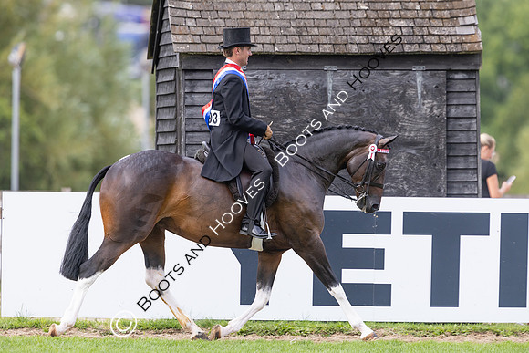 The Royal International Horse Show