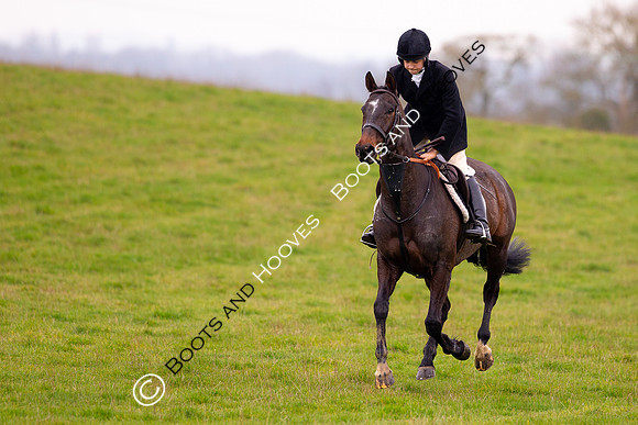 The Ledbury Hunt