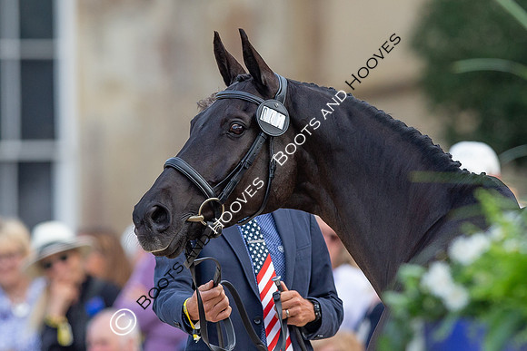Badminton Horse Trials