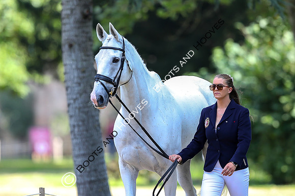 Blenheim Palace International Horse Trials