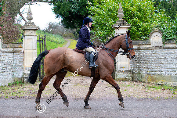 The Ledbury Hunt