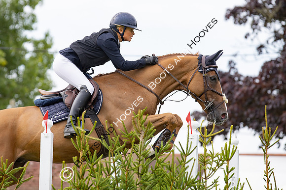 The Agria Royal International Horse Show