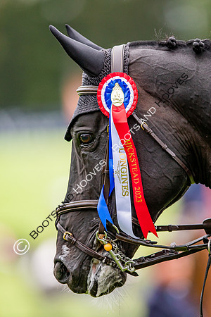 The Longines Royal International Horse Show