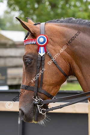 The Royal International Horse Show
