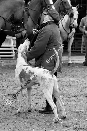 The Ledbury Hunt