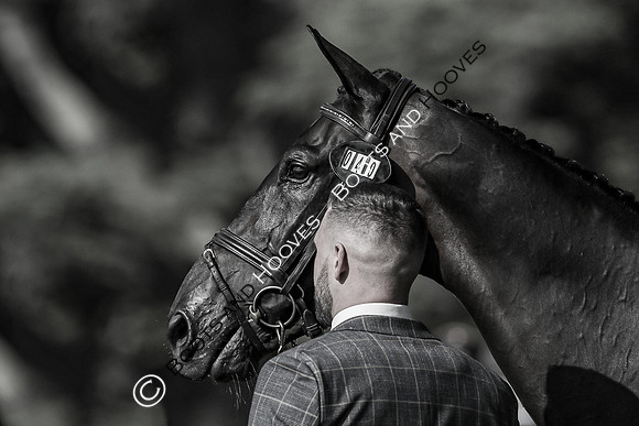 Blenheim Palace International Horse Trials