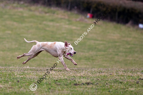 The Ledbury Hunt