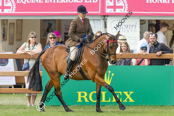 Royal Windsor Horse Show