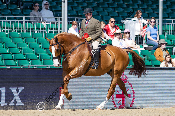 Royal Windsor Horse Show