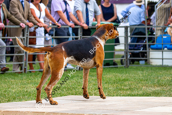 Festival of Hunting