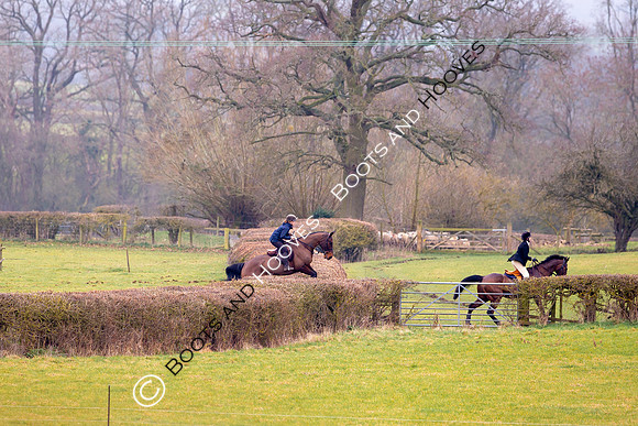 The Ledbury Hunt