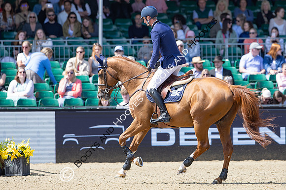 Royal Windsor Horse Show